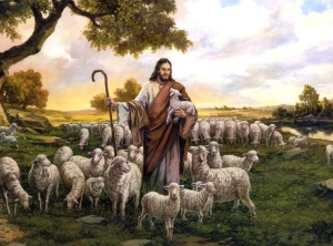 Caring & Feeding His Sheep